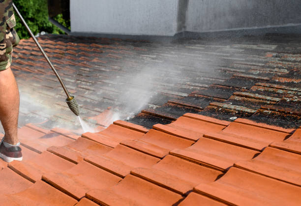 Best Best Pressure Washing Companies  in Woodinville, WA
